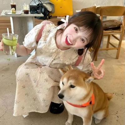 至爱的亲爱的